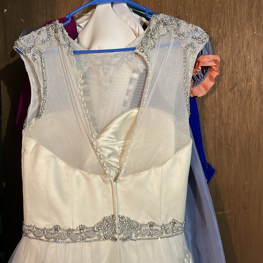 Cristiano Lucci wedding gown Raquel - Picture 11 of 16